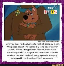 Scrappydoo Memes Best Collection Of Funny Scrappydoo Pictures On Ifunny Brazil