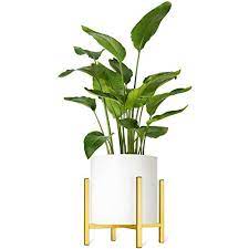 They add an aesthetic value to my studio.5. Mkono Plant Stand Excluding Plant Pot Mid Century Modern Tall Metal Pot Stand Indoor Flower Potted Plant Holder Plants Display Rack Fits Up To 14 Inch Planter Gold In Kuwait Whizz Stands