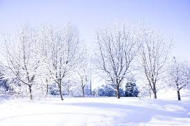 Beautiful winter scene hd desktop wallpaper : Winter Wallpapers Free Hd Download 500 Hq Unsplash