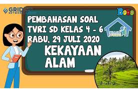 By reza shabrina september 27, 2017. Cari Tahu Kekayaan Alam Indonesia Dan Pemanfaatan Sumber Daya Alam Di Video Ini Bobo