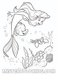 Ariel little mermaid coloring pages. Little Mermaid Coloring Pages Flounder With Flower Free 17468623 Full The Mister Slavyanka Coloring Home