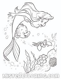 You can use our amazing online tool to color and edit the following little mermaid flounder coloring pages. Little Mermaid Coloring Pages Flounder With Flower Free 17468623 Full The Mister Slavyanka Coloring Home