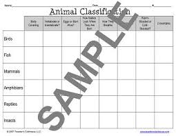 animals classification chart