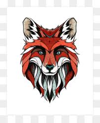 We have 73+ amazing background pictures carefully picked by our community. Arctic Fox Drawing Png And Arctic Fox Drawing Transparent Clipart Free Download Cleanpng Kisspng