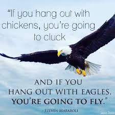 If You Hang Out With Chickens You Re Going To Cluck And If You Hang Out With Eagles You Re Going To Fly Chicken Quotes Eagles Quotes Funny Quotes