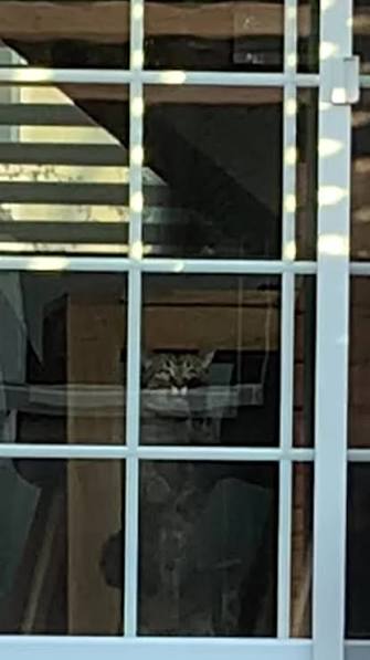 and No Im Not Gonna Open The Door for You Dano | TikTok
