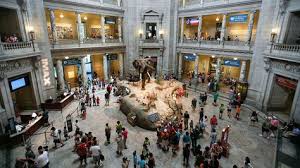 Explore Some Of The Nation S Best Smithsonian Museums In Washington Dc Tourist Visa Dubai National Mall Washington Dc Travel Museum