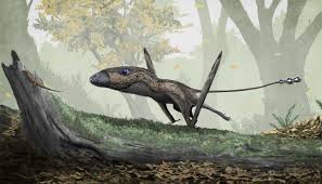 Even though dimorphodon is a flyer, it can still have its movement speed leveled. File Dimorphodon Png Wikipedia