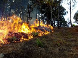Incendio is the spanish and portuguese word for wild fire. Conred Guatemala Se Registra Incendio Forestal En El Facebook