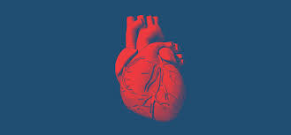 Congestive Heart Failure Treatment | Heart Failure Diagnosis ...