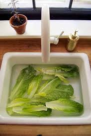 Freezing also makes a head of lettuce remain fresh for up to 3 months. How To Keep Lettuce Fresh Diy Salad Bag The Art Of Doing Stuff
