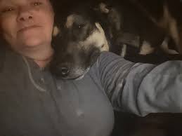 Indy pets: Lost & Found