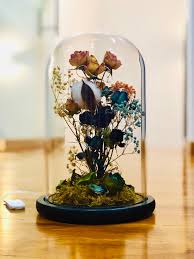 Dried flowers in a bell jar. Vday Dried Roses In Bell Jar With Fairy Lights Hobbies Toys Stationery Craft Flowers Bouquets On Carousell