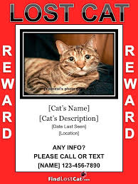 Swap out the image with a recent photo of the missing cat and print out and distribute this flyer around the neighbourhood and post online to missing pet resources. Lost Cat Flyer Poster Templates Free Downloads Findlostcat Com Sampleresume Missingpostertemplate Lost Cat Poster Missing Cat Poster Lost Cat