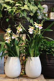 Whether it is a get well flower gift basket, mother's day flowers, seasonal centerpiece for the holidays or something that says i love you back bay florist is the leading florist in boston, ma and will make sure to send quality flowers in a stunning arrangement. Chestnut Hill Newton Ma Floral Gallery Winston Flowers