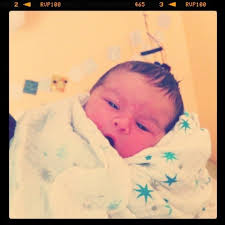 52 Weeks With My CSA Archives