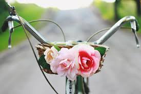 How to make a bicycle planter | the garden! Diy Bike Basket The Merrythought