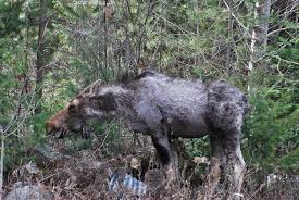 I need any kind hearted people with the time & resources to help a kind  older man I met that has no money at the moment, but unfortunately got  himself into a