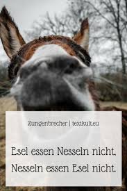 Pin Auf Deutsch Lernen Textkult