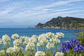 Maybe you would like to learn more about one of these? New Zealand Nugget Point Sea Free Photo On Pixabay