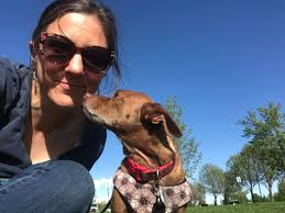 What is your opinion about Dan's dogs?