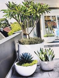 Pin By Maureen Wilkinson On Landscape Rooftop Garden Backyard Garden Modern Garden