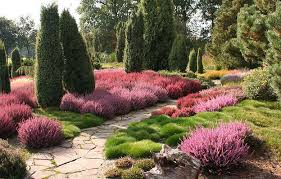 Heidekraut Selbst De Heidegarten Heide Pflanzen Garten Bepflanzen