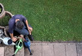 Inklusive lifehack zum selber machen die.1 wann soll ich meinen garten gießen? Garten Giessen Tipps Zur Gartenbewasserung Im Sommer
