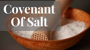 Image result for images covenant of salt