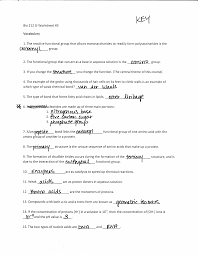 Dna polymer which enzyme is responsible for dna replication structure and function graphic organizers biology worksheets ap biology this dna replication fork definition overview video lesson. 30 Worksheet 16 Dna Replication Basic Concepts Answers Free Worksheet Spreadsheet