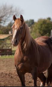 Very hard day here...