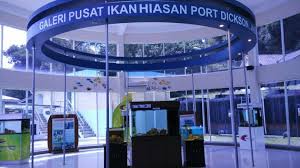 Información para viajes a kampung teluk kemang: Pusat Ikan Hiasan Port Dickson Tarikan Percutian Keluarga Yang Tak Ramai Tahu Rileklah Com