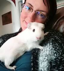 Woman lives with TWENTY guinea pigs
