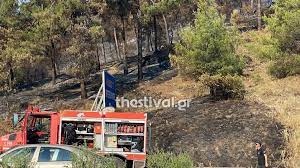 Σε εξέλιξη βρίσκεται φωτιά στο σέιχ σου στο ύψος του αγίου παύλου. Bqigyhzltx7 Xm