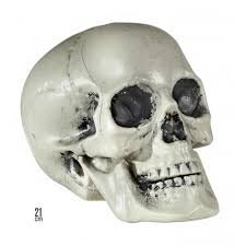 Calavera Decorativa Tamano Real Comprar Decoracion Halloween Encontrá calaveras en mercado libre argentina! calavera decorativa tamano real