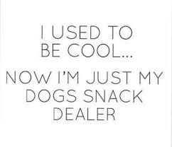 Dog Mom Quotes Dog Mom Quotes In 2020 Dog Mom Quotes Dog Quotes Mom Quotes