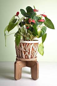 Check spelling or type a new query. Amazon Com Mid Century Wood Plant Stand Indoor Adjustable For Pots 10 Inches Pedestal Century Modern Plant Stool Wooden Flower Planter Holder Corner Floor Living Room Bedroom Pot Not Included Handmade