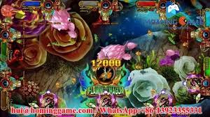 Pin On Hominggame Hui