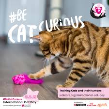 We did not find results for: International Cat Care Startseite Facebook