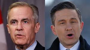 Michael Motti says growers in the Herbert cane district are praying for  rain and answers to the mysterious yellow cane syndrome