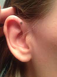 Pin By Elizabeth B On Piercing Wish List Earings Piercings Cute Ear Piercings Forward Helix Earrings