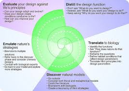 Ditp011 Figure 3 5 Biomimicry Examples Biomimicry Architecture Organizational Design