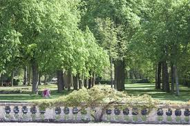 Piscine et jardin parc et jardin jardin de reve beaux jardins casa jardin jardin vert jardins du monde jardin extraordinaire design d'aménagement. Le Chateau De Courances La Quietude Aux Portes De Paris