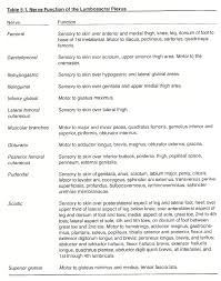 Chapter 5 The Lumbar Spine