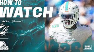 Miami Dolphins - News update