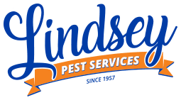 Residential pest services commercial pest services wildlife control services. Atlantic Beach Fl Pest Termite Control Lindsey Pest Services