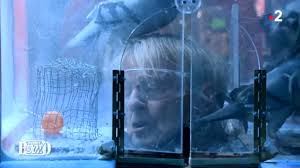 Exclu. Fort Boyard : un pigeon se lâche sans complexe sur Dave !