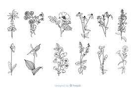 Free Free 333 Hand Drawn Flower Svg Free SVG PNG EPS DXF File