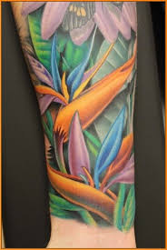 Bird Of Paradise Flower Tattoo Meaning Best Flowers Image Gallery Flowers Image Gallery Part 2 Bird Of Paradise Tattoo Paradise Tattoo Birds Of Paradise Flower