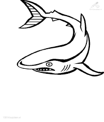 Download or print this amazing coloring page: 1001 Coloringpages Animals Shark Shark Coloring Page